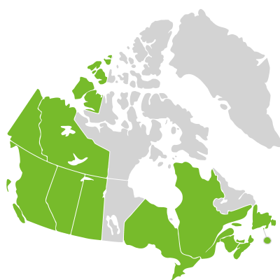 Distribution: Claytonia Linnaeus
