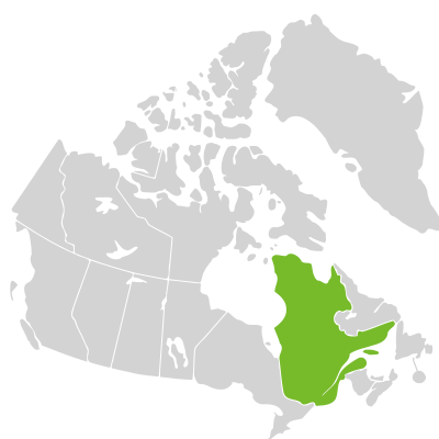 Distribution: Cirsium minganense Victorin