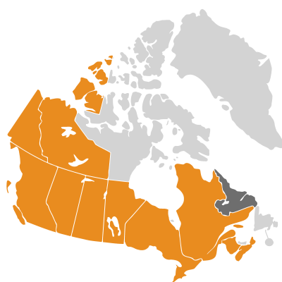 Distribution: Gypsophila Linnaeus