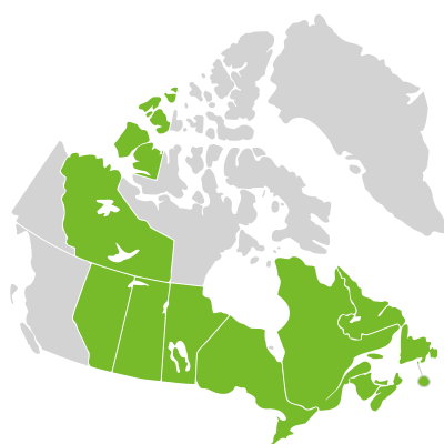 Distribution: Hudsonia Linnaeus