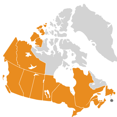 Distribution: Pastinaca Linnaeus