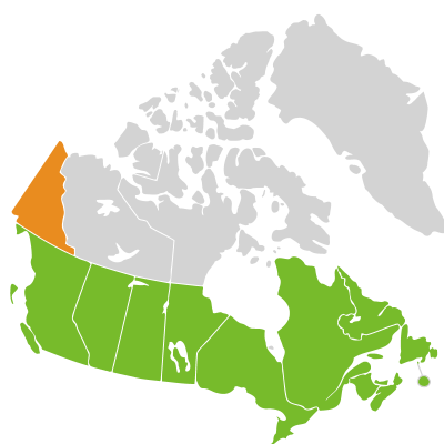 Distribution: Prunella Linnaeus