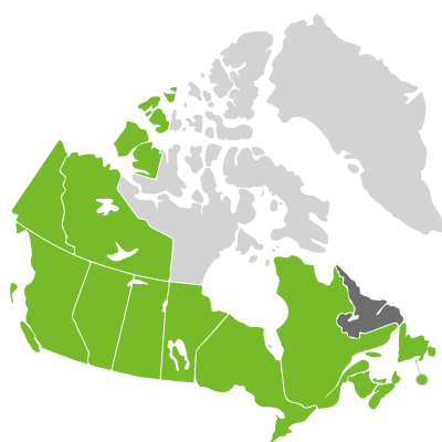Distribution: Ruppia Linnaeus