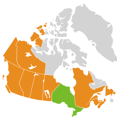 Distribution: Tragopogon Linnaeus