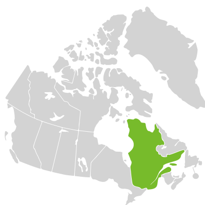 Distribution: Crataegus canadensis Sargent
