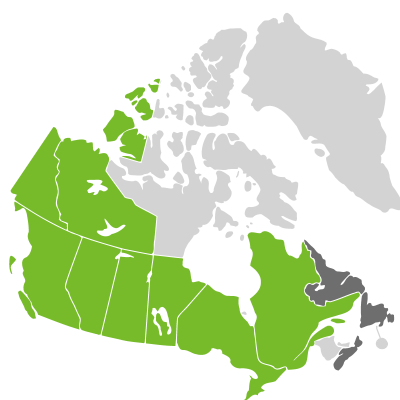 Distribution: Athyrium cyclosorum Ruprecht