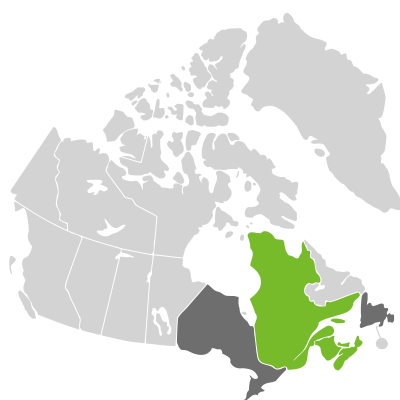 Distribution: Amelanchier canadensis (Linnaeus) Medikus var. canadensis