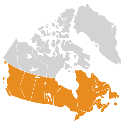 Distribution: Daucus carota Linnaeus