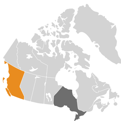 Distribution: Torilis arvensis (Hudson) Link