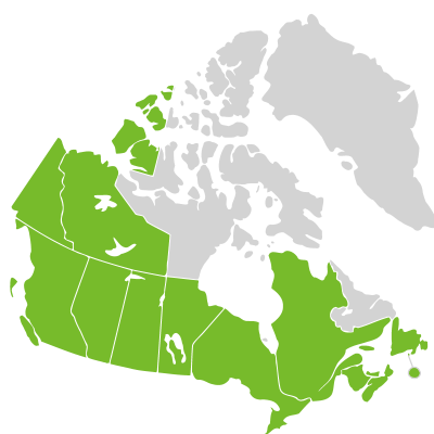Distribution: Aralia nudicaulis Linnaeus