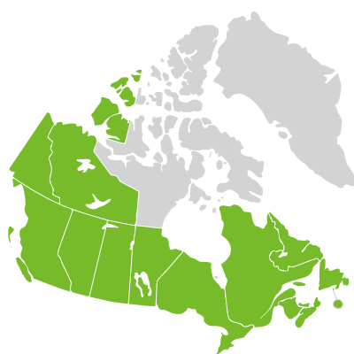 Distribution: Maianthemum canadense Desfontaines