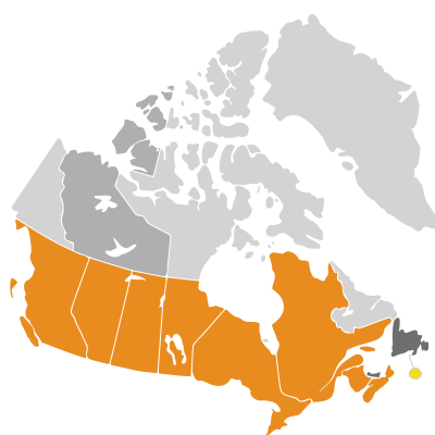 Distribution: Helianthus annuus Linnaeus