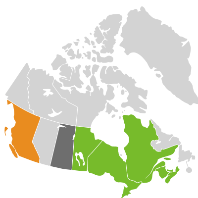 Distribution: Lactuca canadensis Linnaeus