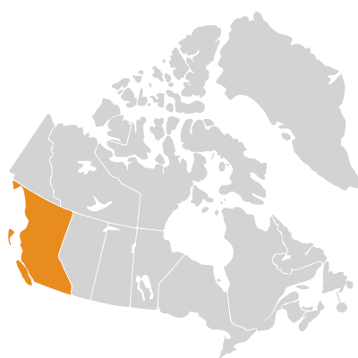 Distribution: Suaeda sect. Schanginia (C.A. Meyer) Volkens