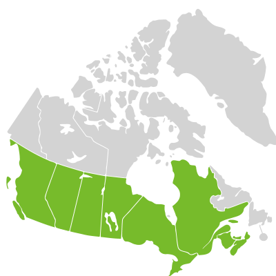 Distribution: Senega subg. Senega Spach