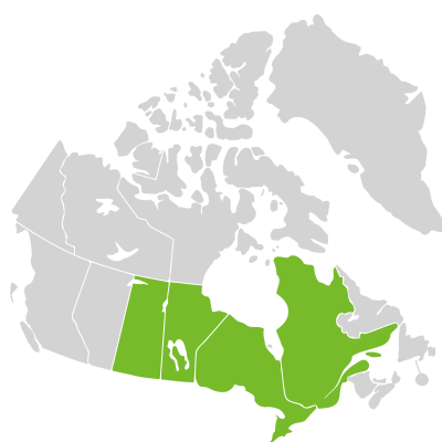 Distribution: Senega verticillata (Linnaeus) J.F.B. Pastore & J.R. Abbott