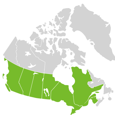 Distribution: Senega officinalis Spach