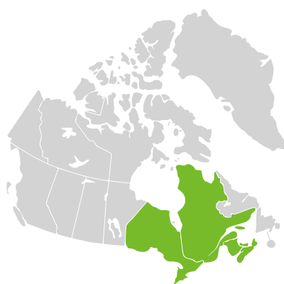 Distribution: Senega sanguinea (Linnaeus) J.F.B. Pastore & J.R. Abbott