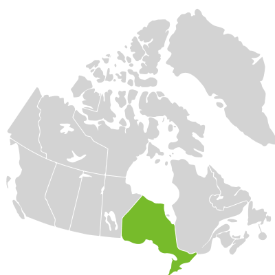 Distribution: Senega incarnata (Linnaeus) J.F.B. Pastore & J.R. Abbott