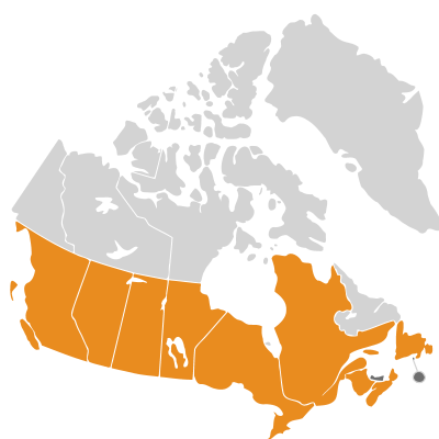 Distribution: Mutarda nigra (Linnaeus) Bernhardi