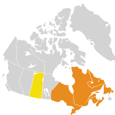 Distribution: Erysimum virgatum Roth