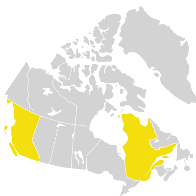 Distribution: Lobelia erinus Linnaeus