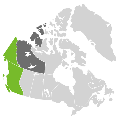 Distribution: Taraxacum alaskanum Rydberg