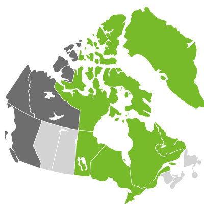 Distribution: Draba alpina Linnaeus