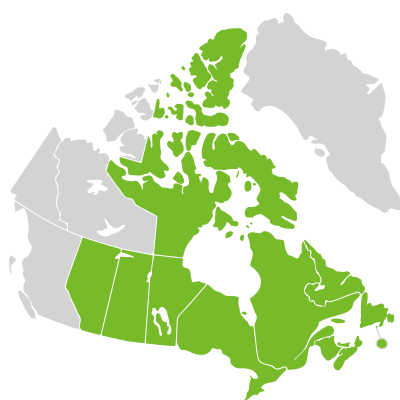 Distribution: Lonicera caerulea Linnaeus