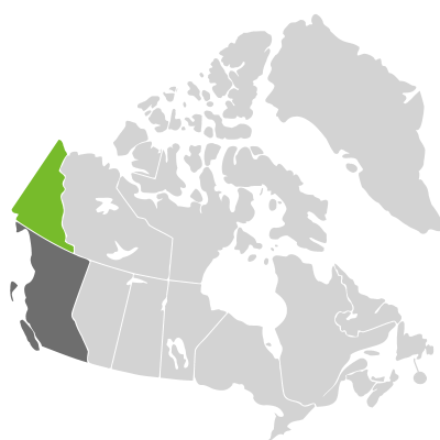 Distribution: Stellaria alaskana Hultén