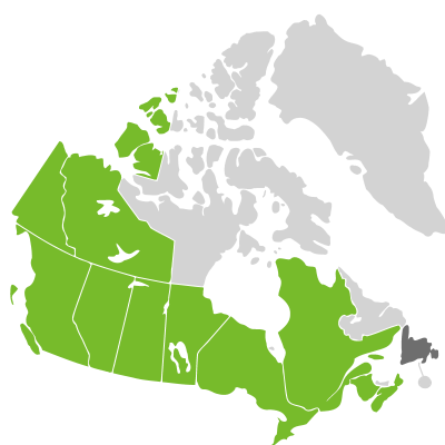 Distribution: Carex peckii Howe