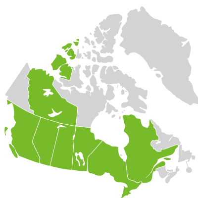 Distribution: Astragalus canadensis Linnaeus var. canadensis