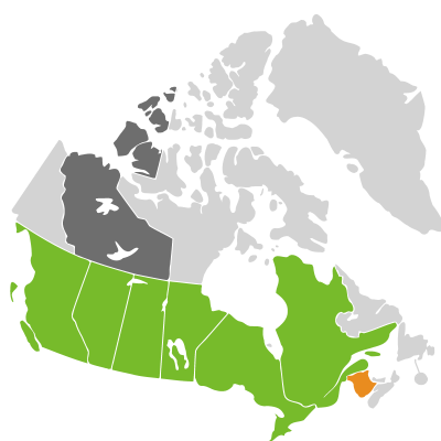 Distribution: Monarda fistulosa Linnaeus