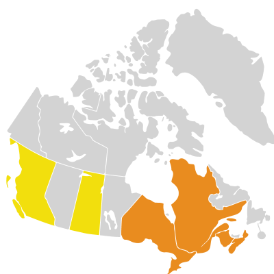 Distribution: Malva alcea Linnaeus
