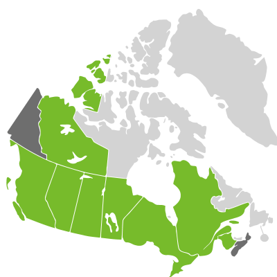 Distribution: Elymus canadensis Linnaeus var. canadensis