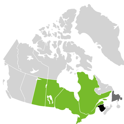 Distribution: Aquilegia canadensis Linnaeus