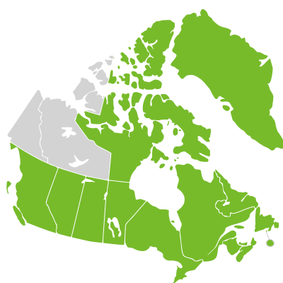 Distribution: Coptis trifolia (Linnaeus) Salisbury