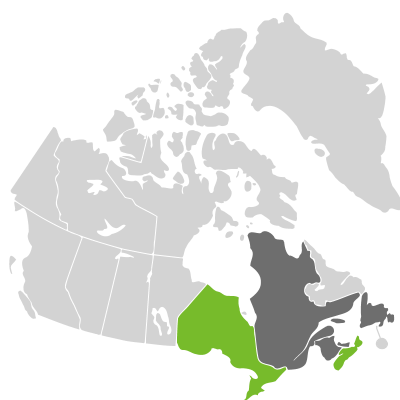 Distribution: Potentilla canadensis Linnaeus