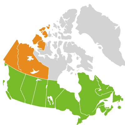 Distribution: Lactuca Linnaeus