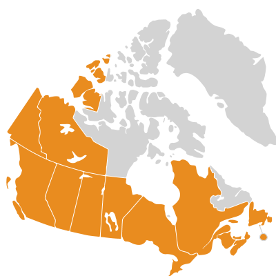 Distribution: Malva Linnaeus
