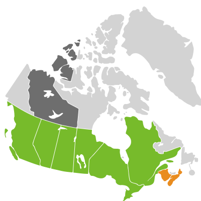 Distribution: Monarda Linnaeus