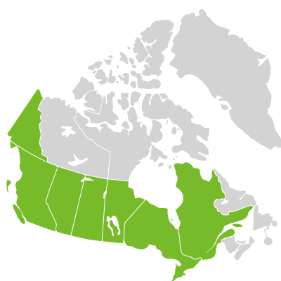 Distribution: Parietaria Linnaeus