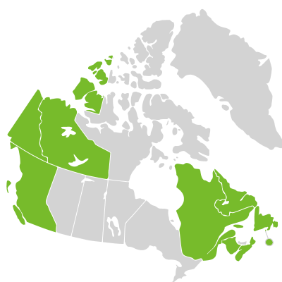 Distribution: Sanguisorba Linnaeus