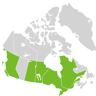 Distribution: Teucrium canadense var. occidentale (A. Gray) E.M. McClintock & Epling
