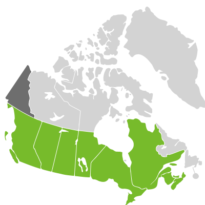 Distribution: Verbena Linnaeus