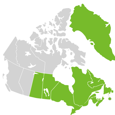 Distribution: Athyrium angustum