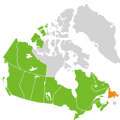Distribution: Sagittaria cuneata