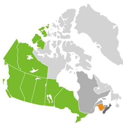 Distribution: Artemisia frigida