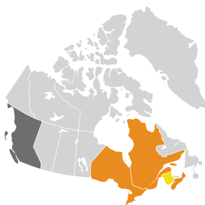 Distribution: Carduus crispus Linnaeus