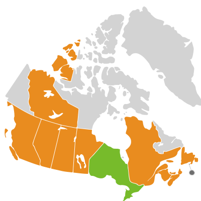 Distribution: Erigeron canadensis Linnaeus